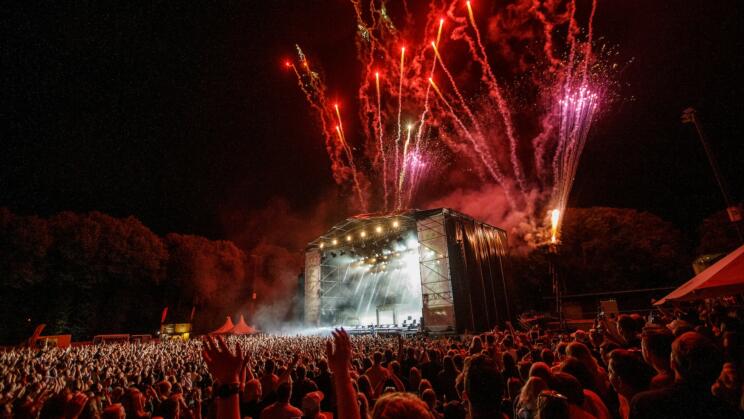 Bayside festival bild
